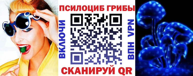 где купить   Беслан  Галлюциногенные грибы ЛСД 
